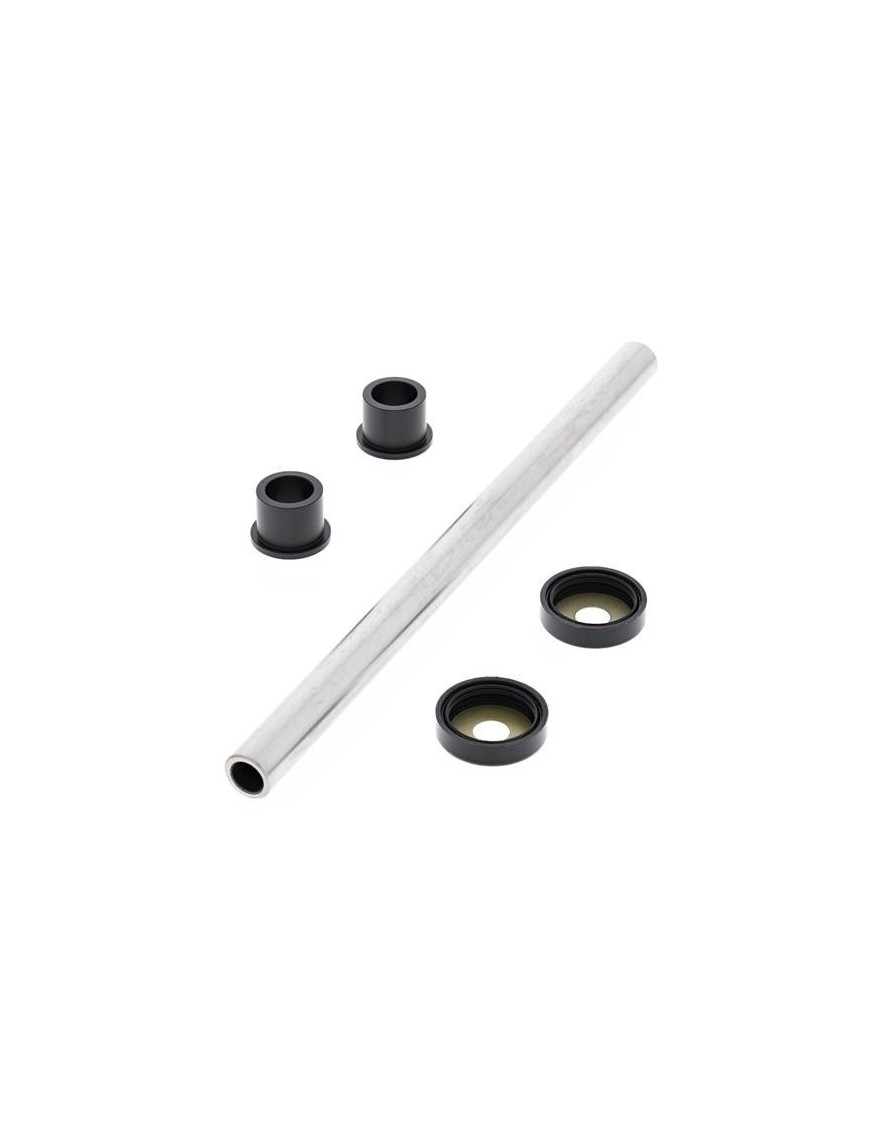 Kit de Rolamentos e Casquilhos dos Triângulos Superiores ALL BALLS Raptor 660