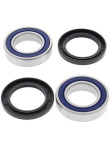 Kit de Rolamentos e Retentores do Eixo ALL BALLS YFM 660 Raptor | YFZ 350 Banshee